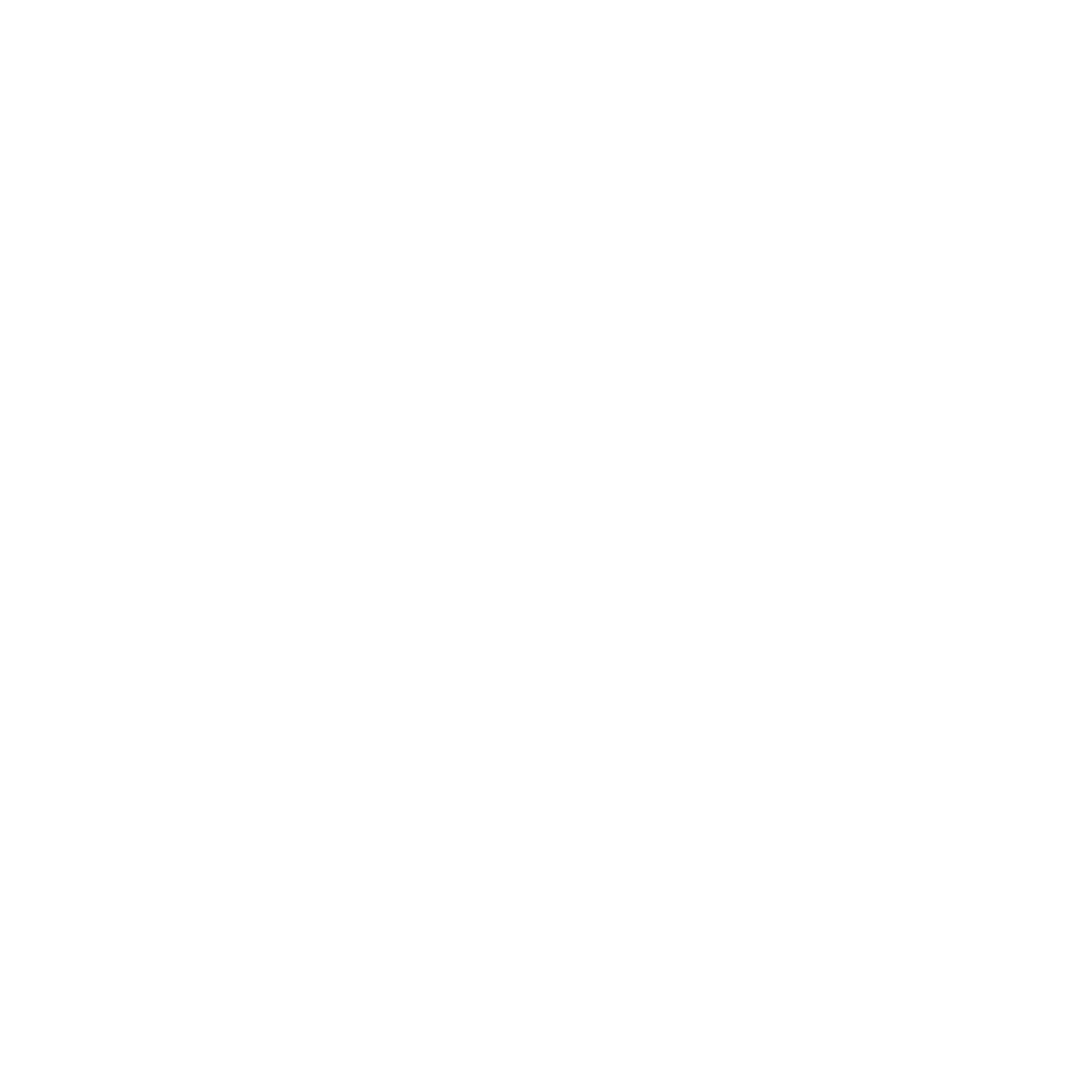 Aldin Scholars Foundation